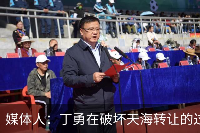 媒体人：丁勇在破坏天海转让的过程中曾拉刘奕下水