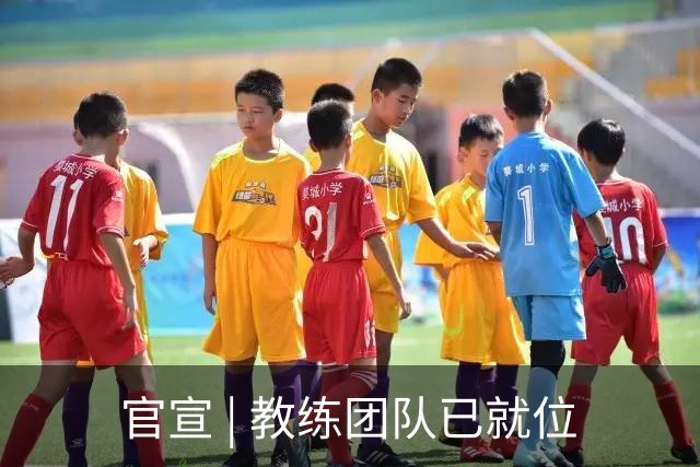 官宣 | 教练团队已就位