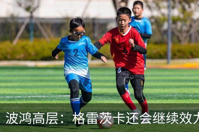 波鸿高层：格雷茨卡还会继续效力顶级俱乐部，但希望几年后签回他