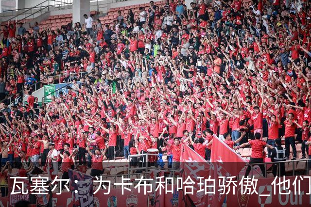 瓦塞尔：为卡布和哈珀骄傲 他们两个都有着不可限量的未来